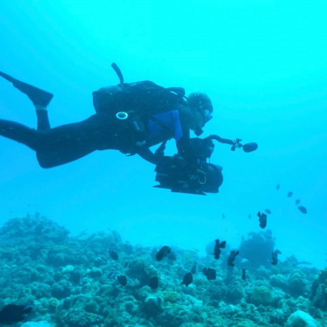 Odkrywcy z morskich głębin