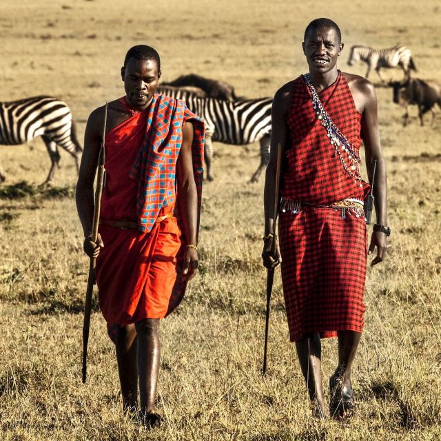 Lwy kontra Masajowie